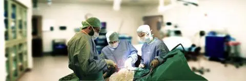 ortopedi ve travmatoloji